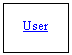 Text Box: User